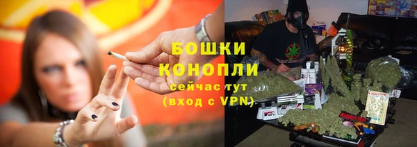 прущие грибы Арсеньев