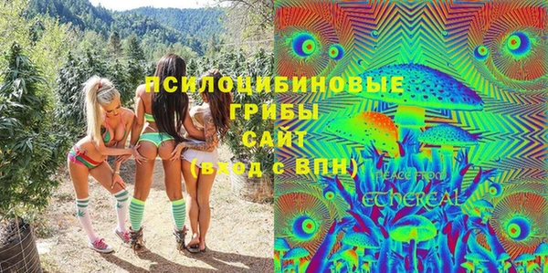 прущие грибы Арсеньев