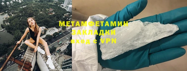 прущие грибы Арсеньев