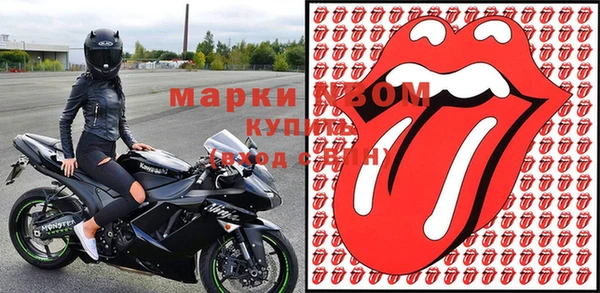 прущие грибы Арсеньев