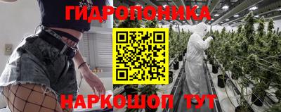 Альфа ПВП Обнинск