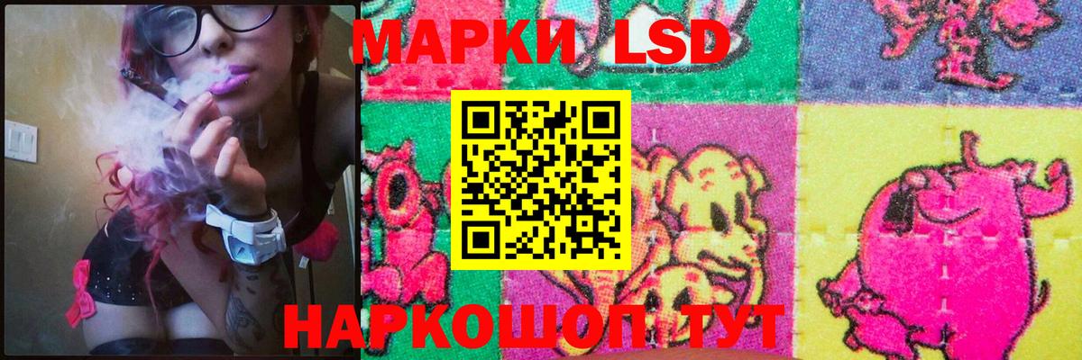 Новороссийск  Лсд 25 экстази ecstasy  Вход с VPN  LSD-25 экстази кислота 