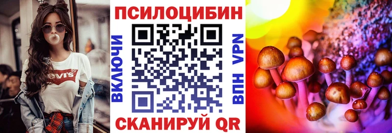 Псилоцибиновые грибы прущие грибы Новороссийск