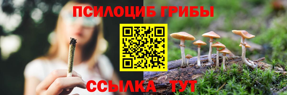 Галлюциногенные грибы прущие грибы Новороссийск