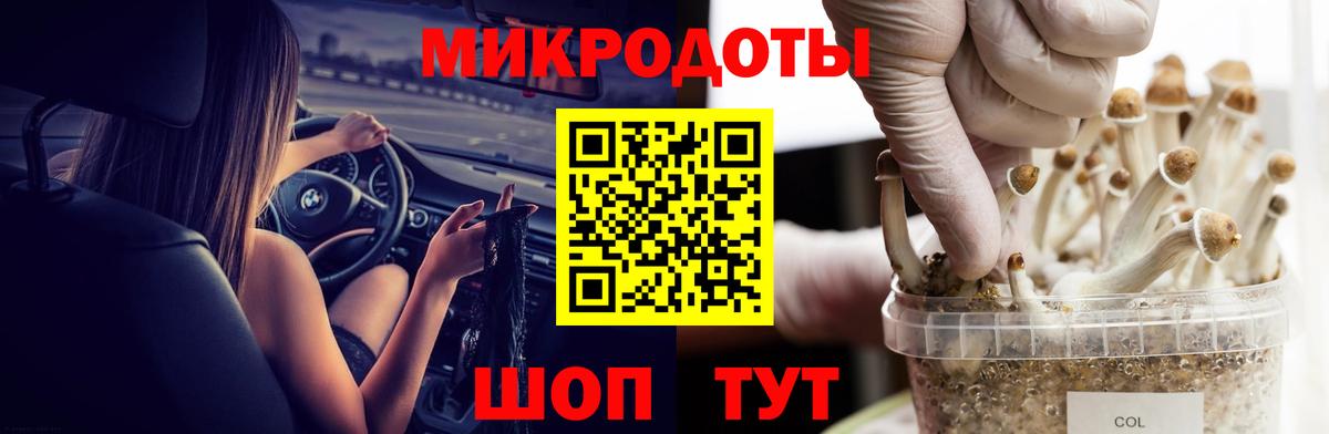 Новороссийск  Галлюциногенные грибы Psilocybe  Вход с VPN  Галлюциногенные грибы мицелий 