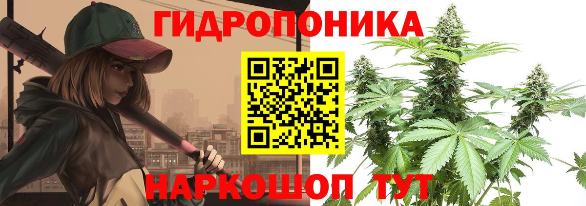 Шишки марихуана сатива  Конопля VHQ  Шишки марихуана MAZAR  Вход с VPN  Новороссийск 